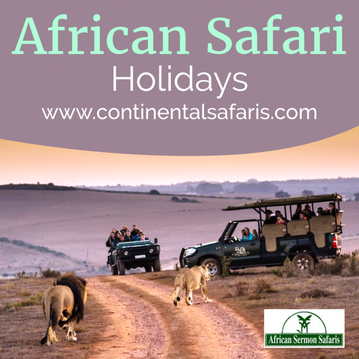 Image for African Safari Tour Packages with ID of: 4257936