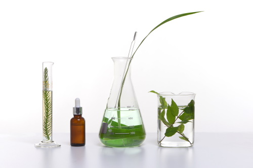 Image for New Leaf Aesthetics LLC with ID of: 4258962