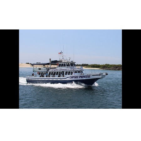 Image for Captree Princess with ID of: 4261233