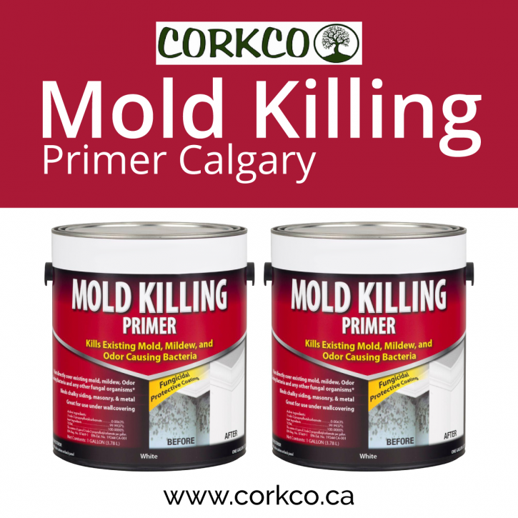 Image for Mold Killing Primer Calgary with ID of: 4266891