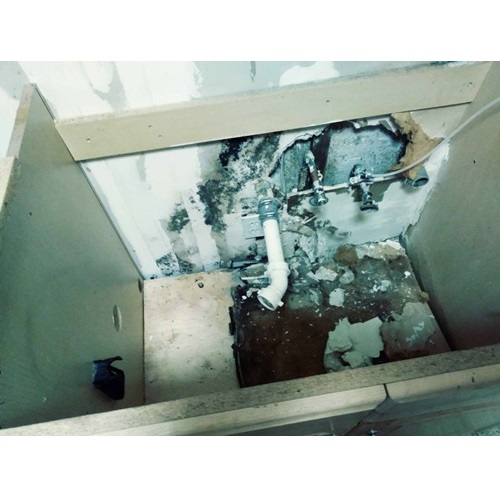 Image for Mold Trust, Inc with ID of: 4267442