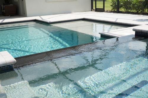 Image for Swim Incorporated with ID of: 4273994