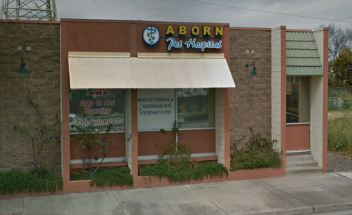 Image for Aborn Pet Hospital with ID of: 4275240