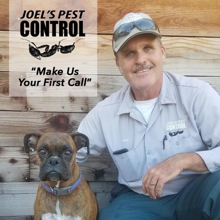 Image for Joel's Pest Control with ID of: 4276781
