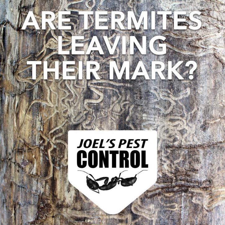 Image for Joel's Pest Control with ID of: 4276791
