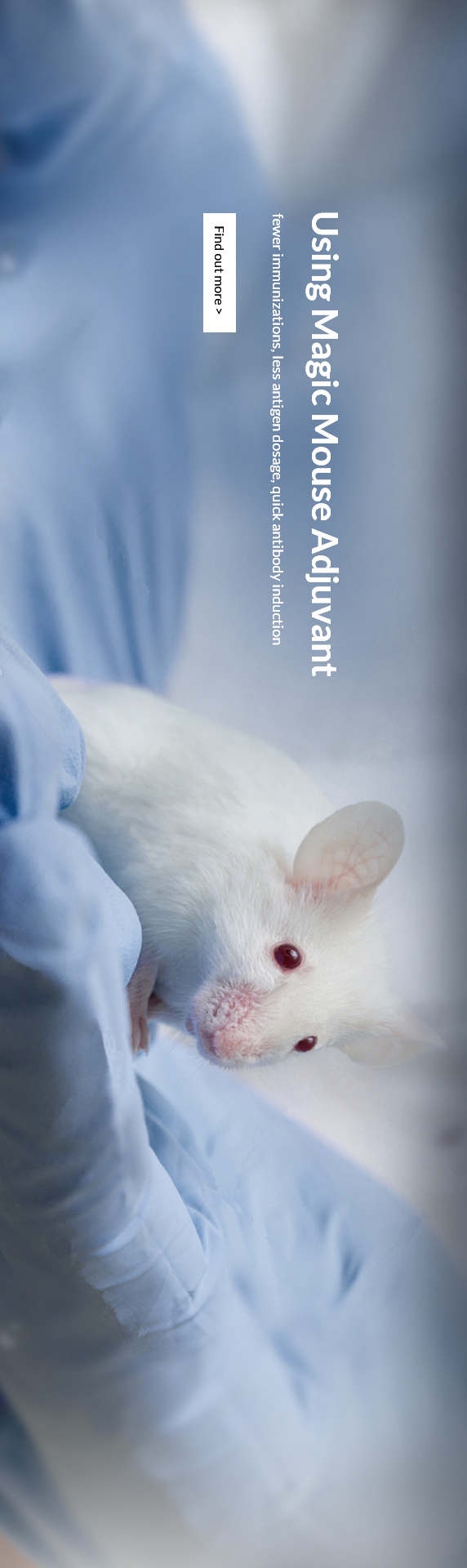Image for Thermal +analysis of polymer with ID of: 4277436