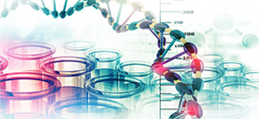 Image for phospho explorer antibody array with ID of: 4277440