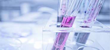 Image for human naive t cell isolation kit with ID of: 4277904