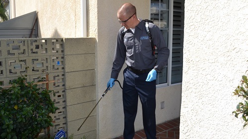 Image for Admiral Pest Control with ID of: 4280091