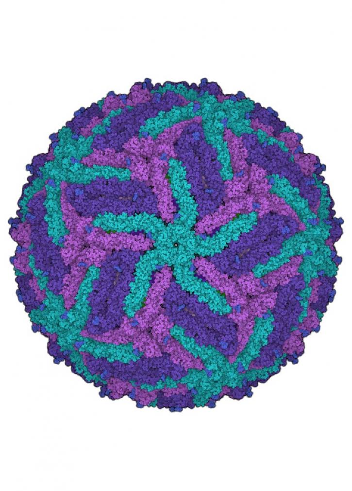 Image for TP10 complement with ID of: 4285549