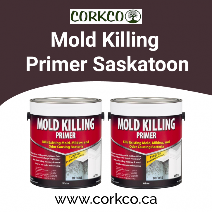 Image for Mold Killing Primer Saskatoon with ID of: 4288593
