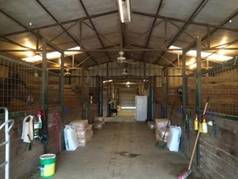 Image for Triple Cross Ranch with ID of: 4290045