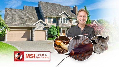 Image for MSI Termite & Pest control with ID of: 4291207