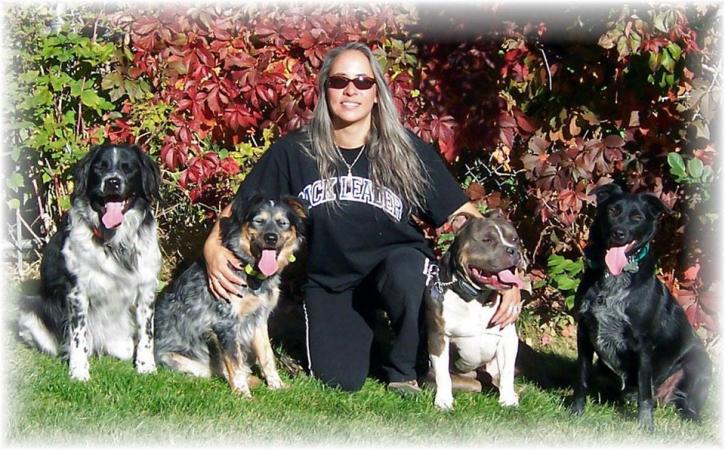 Image for Canine Psychology Center with ID of: 4293072