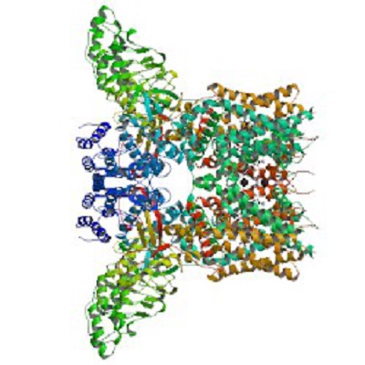 Image for capsaicin test kit with ID of: 4294931