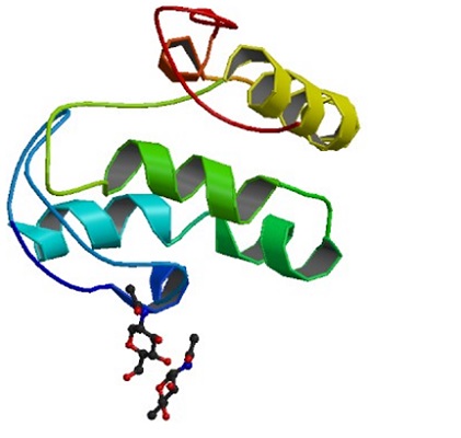 Image for wnt1 protein with ID of: 4294951