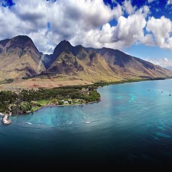 Image for Maui Marketing with ID of: 4298347