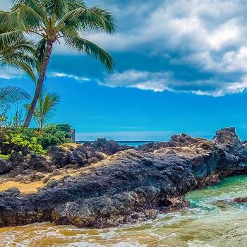 Image for Maui Marketing with ID of: 4298349