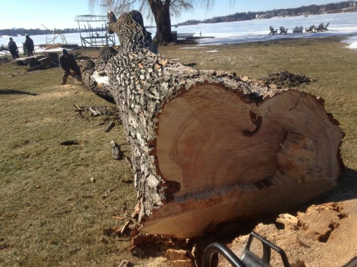 Image for Picture Perfect Tree and Landscaping with ID of: 4300689