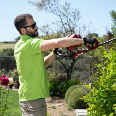 Image for Lawn Love Lawn Care with ID of: 4303568