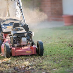 Image for Lawn Love Lawn Care with ID of: 4303569
