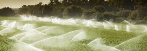 Image for Waterlaw: Patrick, Miller, Noto with ID of: 4307897