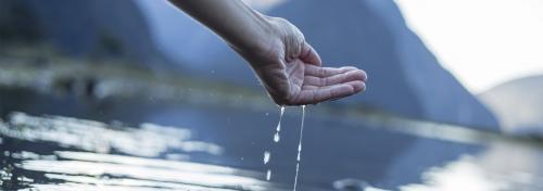 Image for Waterlaw: Patrick, Miller, Noto with ID of: 4307898