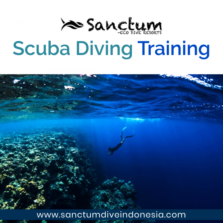 Image for Scuba Diving Courses with ID of: 4314241