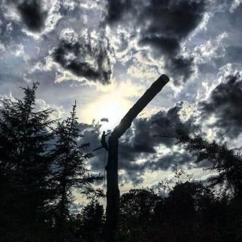 Image for Dawkins Tree Care with ID of: 4318889