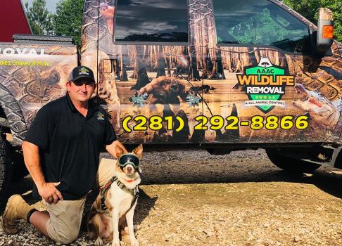 Image for AAAC Wildlife Removal with ID of: 4319099