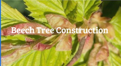 Image for Beech Tree Construction with ID of: 4319350