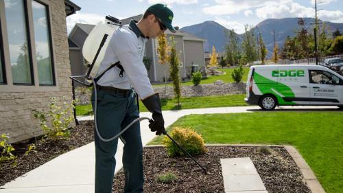 Image for Edge Pest Control and Mosquito Service with ID of: 4320011