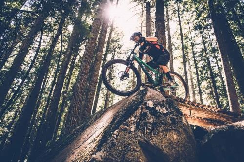 Image for C3 Bike Shop with ID of: 4322324