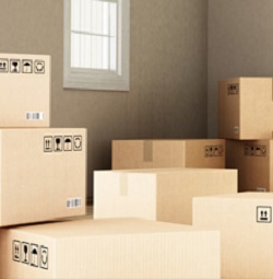 Image for Alto Storage with ID of: 4323540