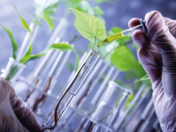 Image for Global Bio-Based Polyurethane Market Research Report - Industry Analysis, Size, Share, Growth, Trends and Forecast Till 2026 with ID of: 4324060