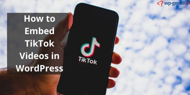 Image for How to Embed TikTok Videos in WordPress with ID of: 4324285