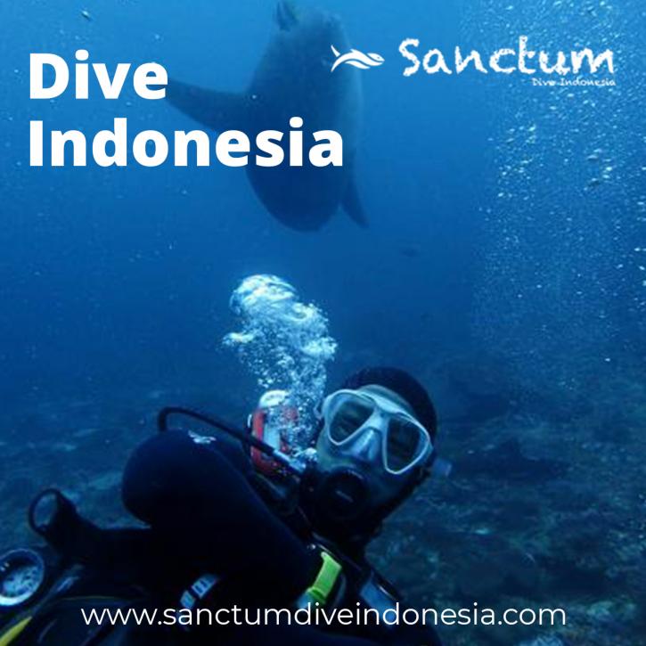 Image for Dive Indonesia with ID of: 4326561