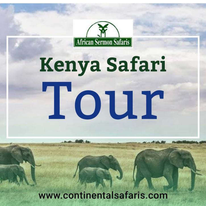 Image for Kenya Safari Tours with ID of: 4327046