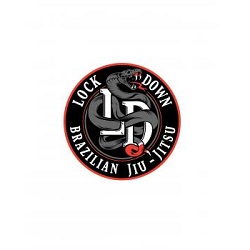Image for Lock Down Brazilian Jiu-Jitsu with ID of: 4328261