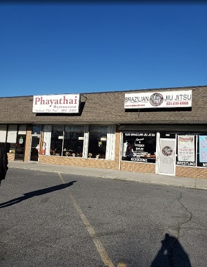 Image for Lock Down Brazilian Jiu-Jitsu with ID of: 4328267