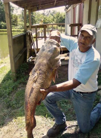 Image for SNOW'S LAKE is Open Again for Fishing in Colerain Township with ID of: 433107