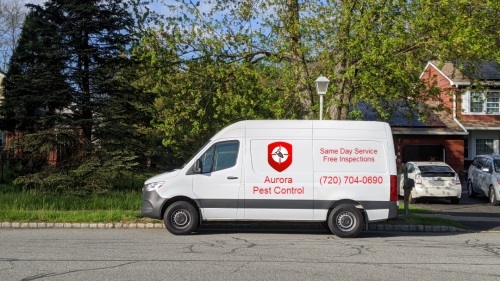 Image for Aurora Pest Control with ID of: 4331288