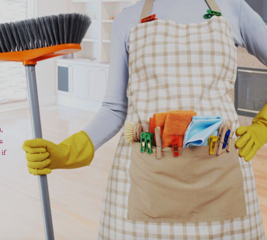 Image for Book A Maid Ltd with ID of: 4331726