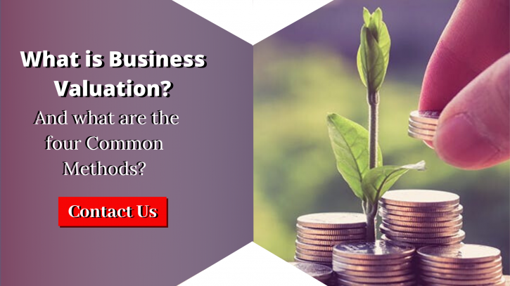 Image for What is business valuation? with ID of: 4332860