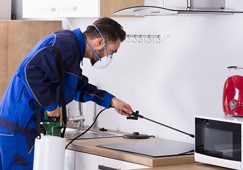 Image for H2 Environmental Pest Management with ID of: 4338206