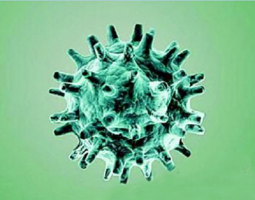 Image for Coronavirus Antigens with ID of: 4352601