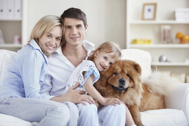 Image for Comfort Carpet Clean with ID of: 4355533