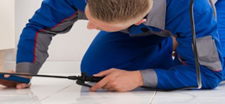 Image for Fraser valley pest control with ID of: 4361373