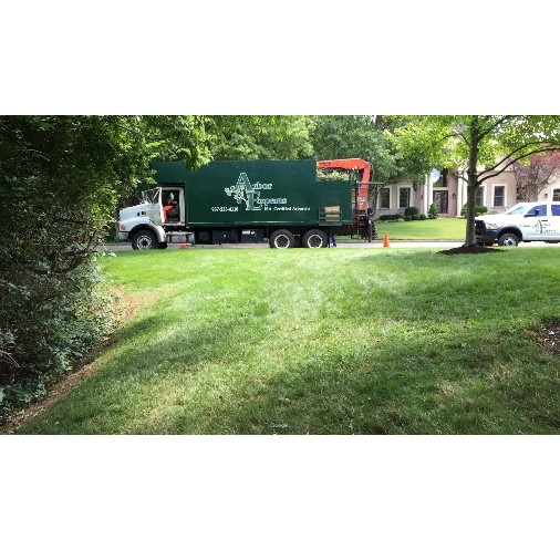Image for Arbor Experts / SavATree - Tree Service & Lawn Care with ID of: 4365127
