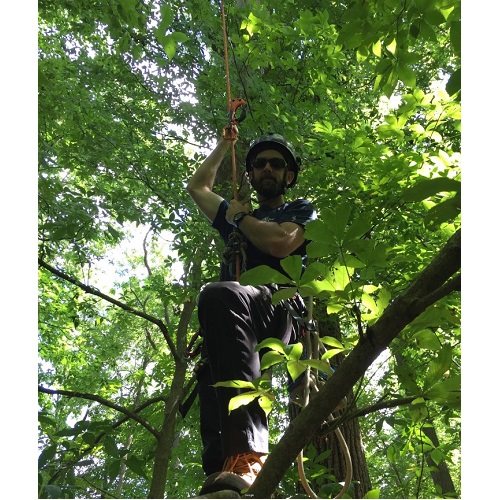 Image for Arbor Experts / SavATree - Tree Service & Lawn Care with ID of: 4365129